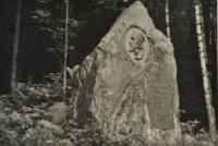 Hf_1082 Hf_1082