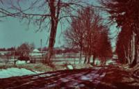 Hf_1182 Hf_1182